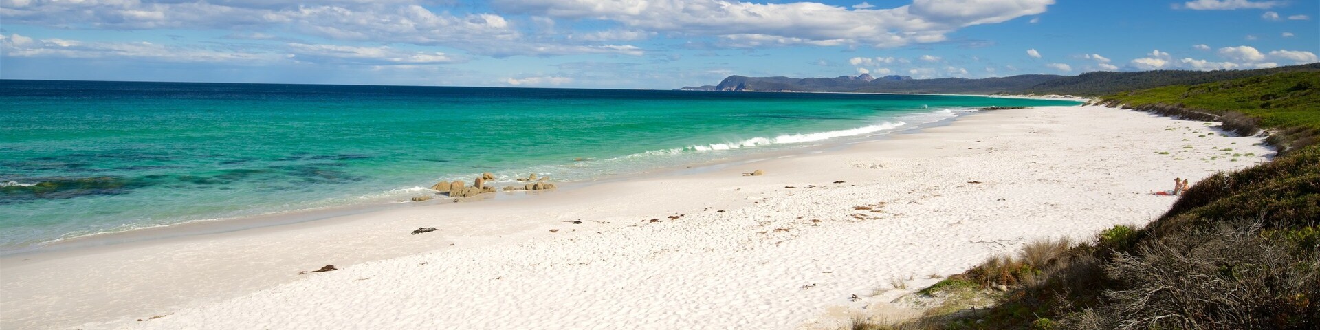 Tasmanie qui includes plage et vues littorales