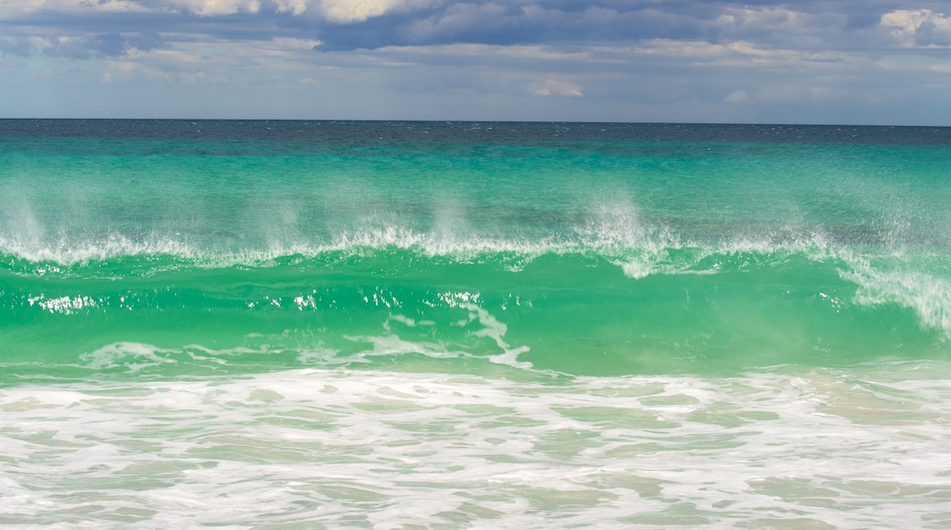 Friendly Beaches which includes waves