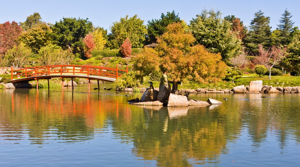 A serene pond with a red bridge, surrounded by autumn-colored trees and a clear blue sky.