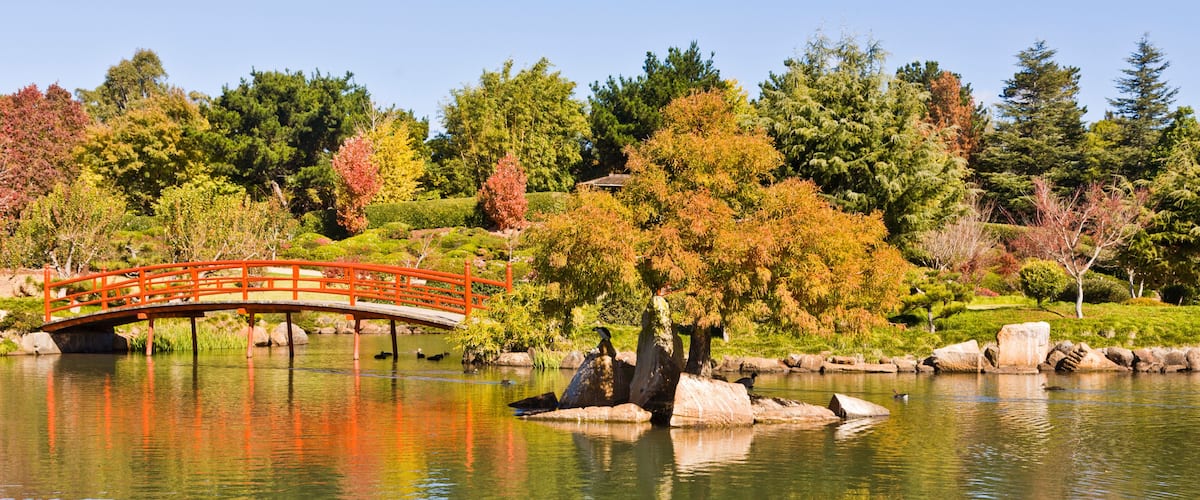 A serene pond with a red bridge, surrounded by autumn-colored trees and a clear blue sky.