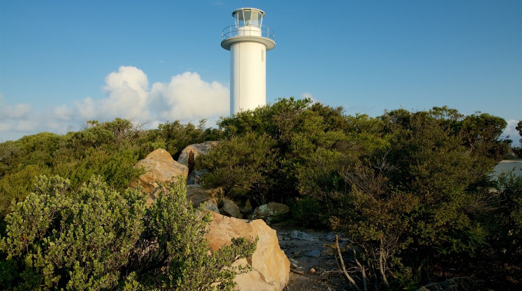 Cape Tourville Lighthouse which includes a lighthouse