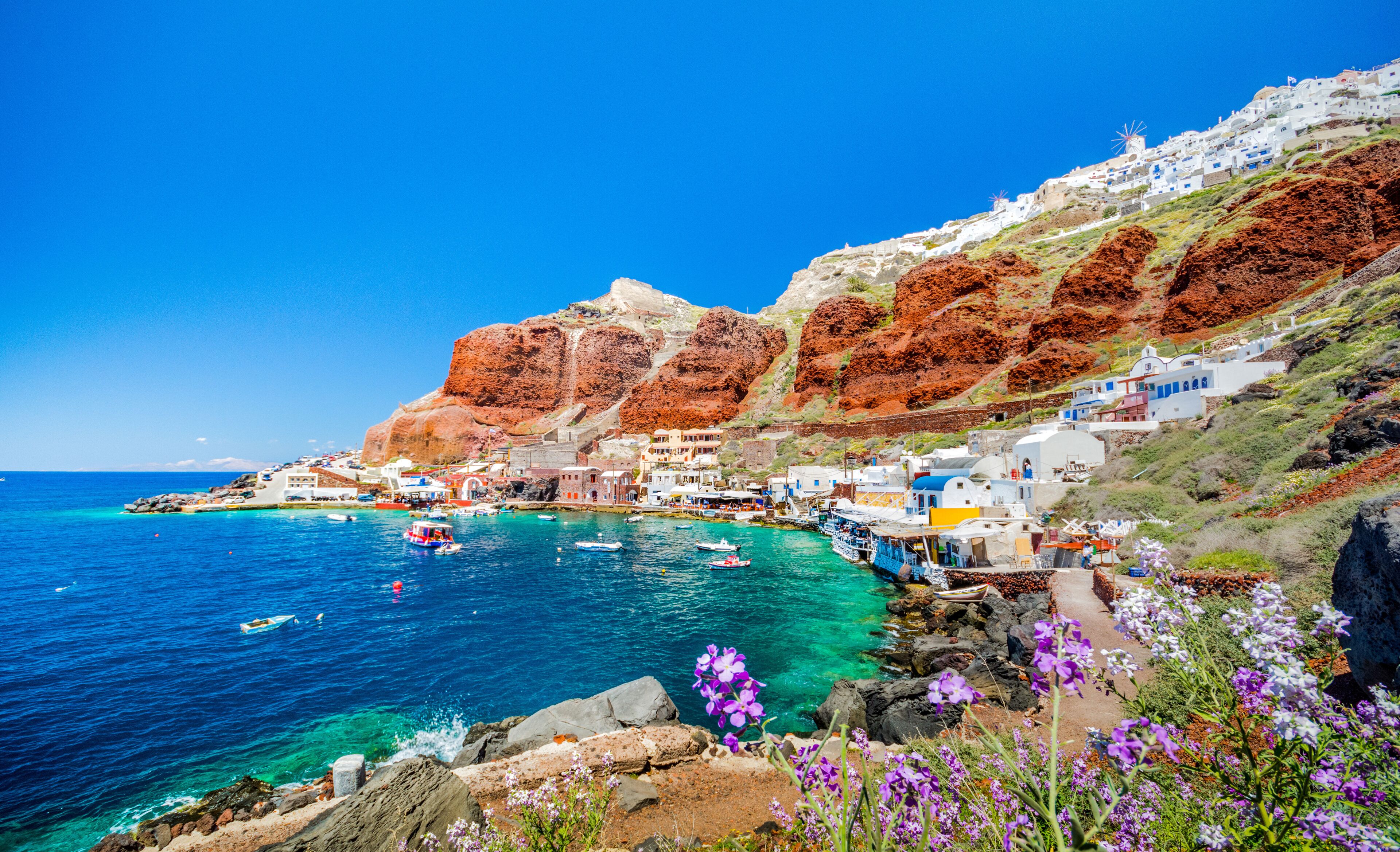 A coastal village with white buildings, clear blue sea, rocky cliffs, and purple flowers.