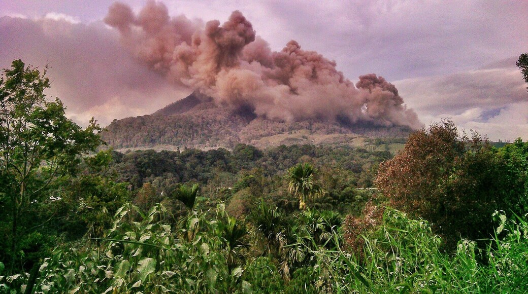 Sinabung eruption. November 2014.