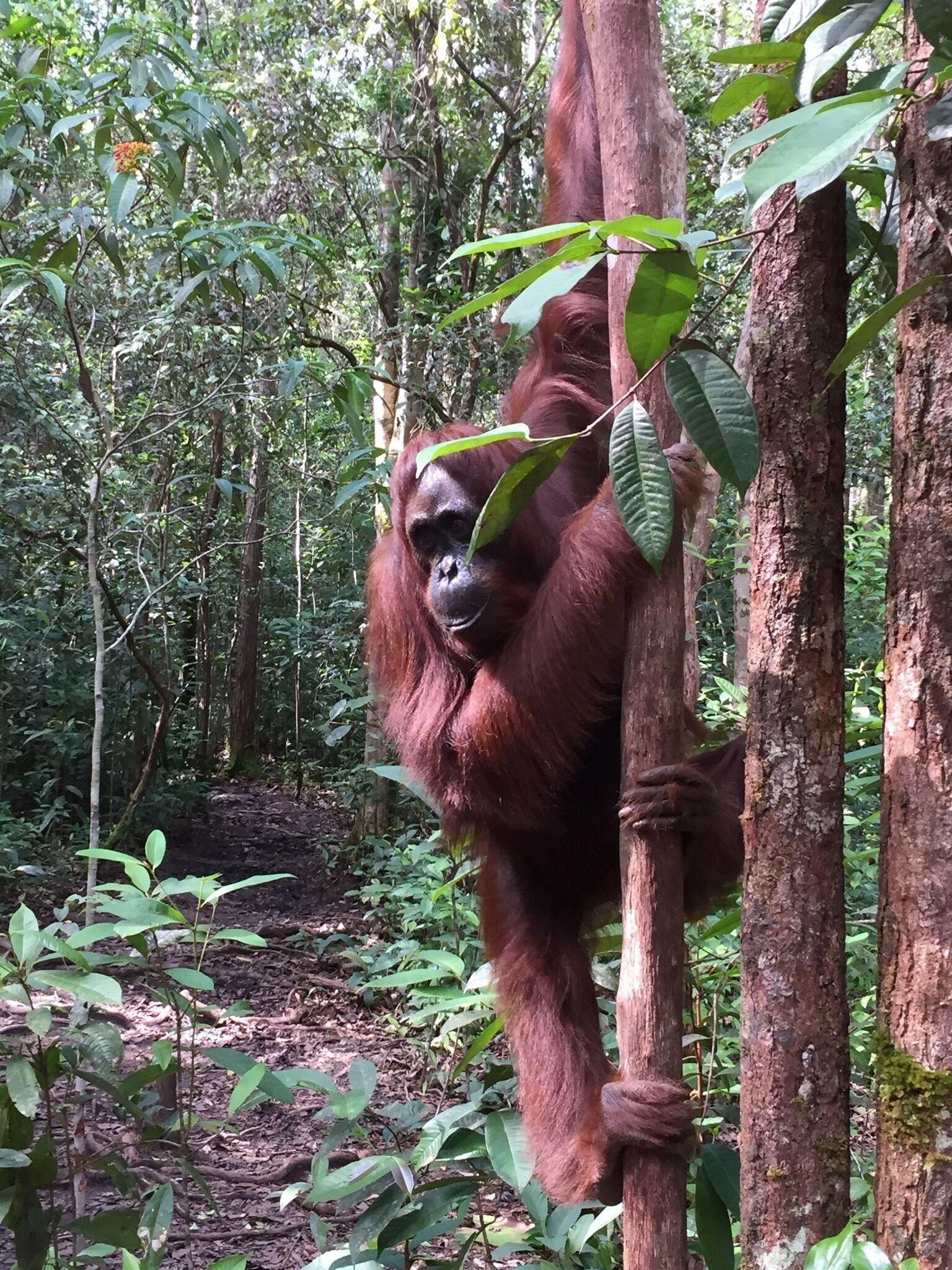 This young male really put in a posing show for us at Camp Leaky. 