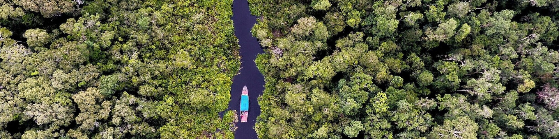 This place has to be one the most amazing places I have ever been. Lush forest with wildlife all around. The boat you see is the boat we spent 3 nights on. Sleeping, eating and exploring around Tanjung Puting National Park. Here you will be able to see the Orangutan up close and personal
#BvSApplication