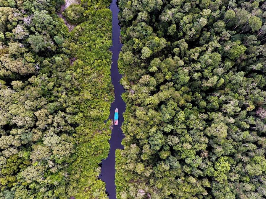 This place has to be one the most amazing places I have ever been. Lush forest with wildlife all around. The boat you see is the boat we spent 3 nights on. Sleeping, eating and exploring around Tanjung Puting National Park. Here you will be able to see the Orangutan up close and personal
#BvSApplication