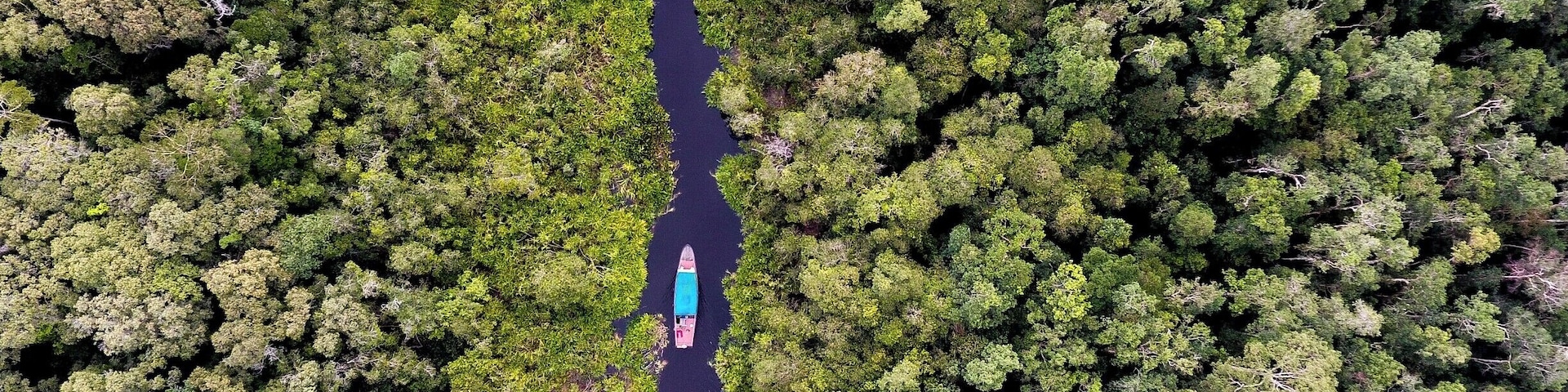 This place has to be one the most amazing places I have ever been. Lush forest with wildlife all around. The boat you see is the boat we spent 3 nights on. Sleeping, eating and exploring around Tanjung Puting National Park. Here you will be able to see the Orangutan up close and personal
#BvSApplication