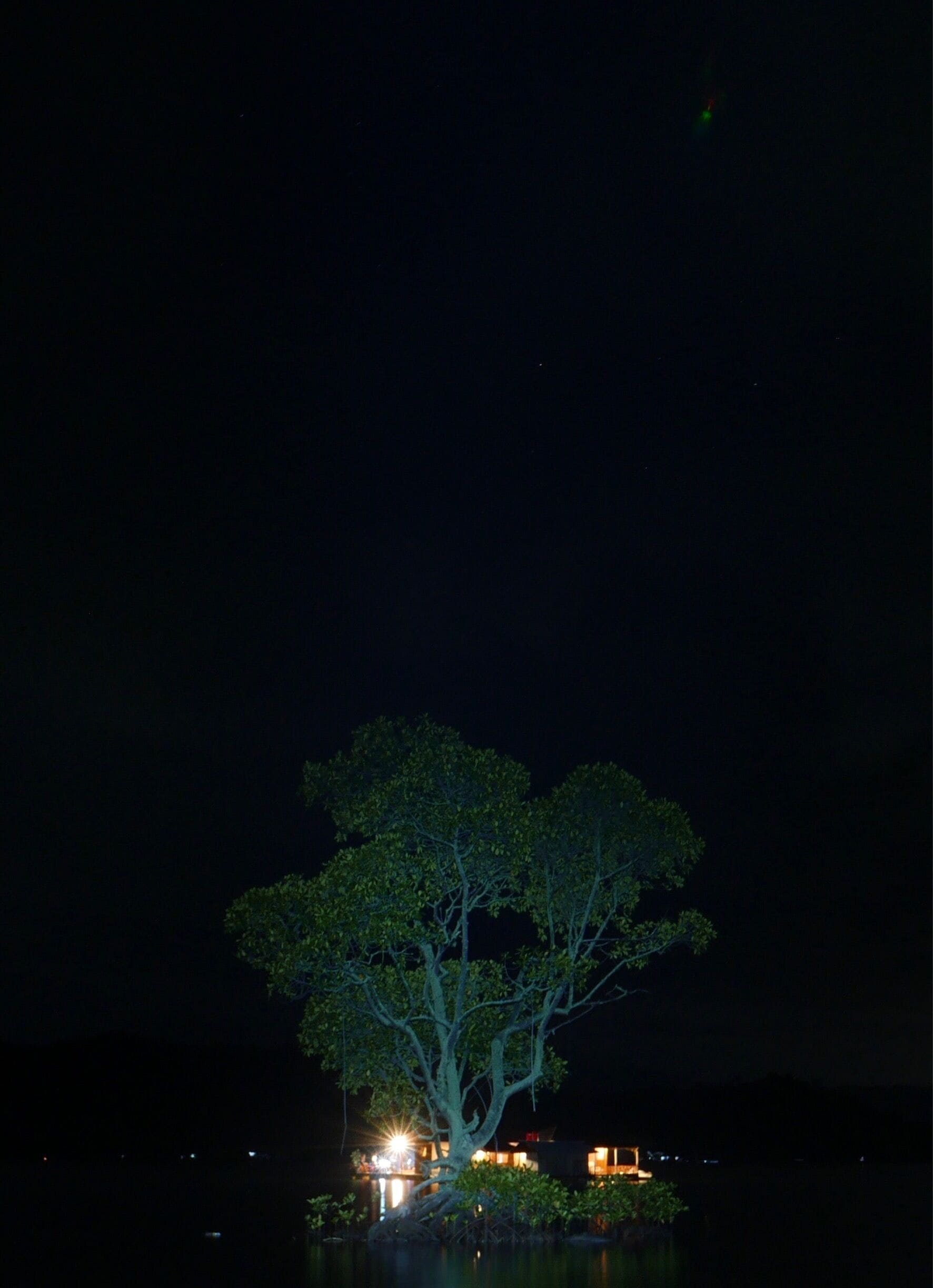 Shoot at night with flashlight