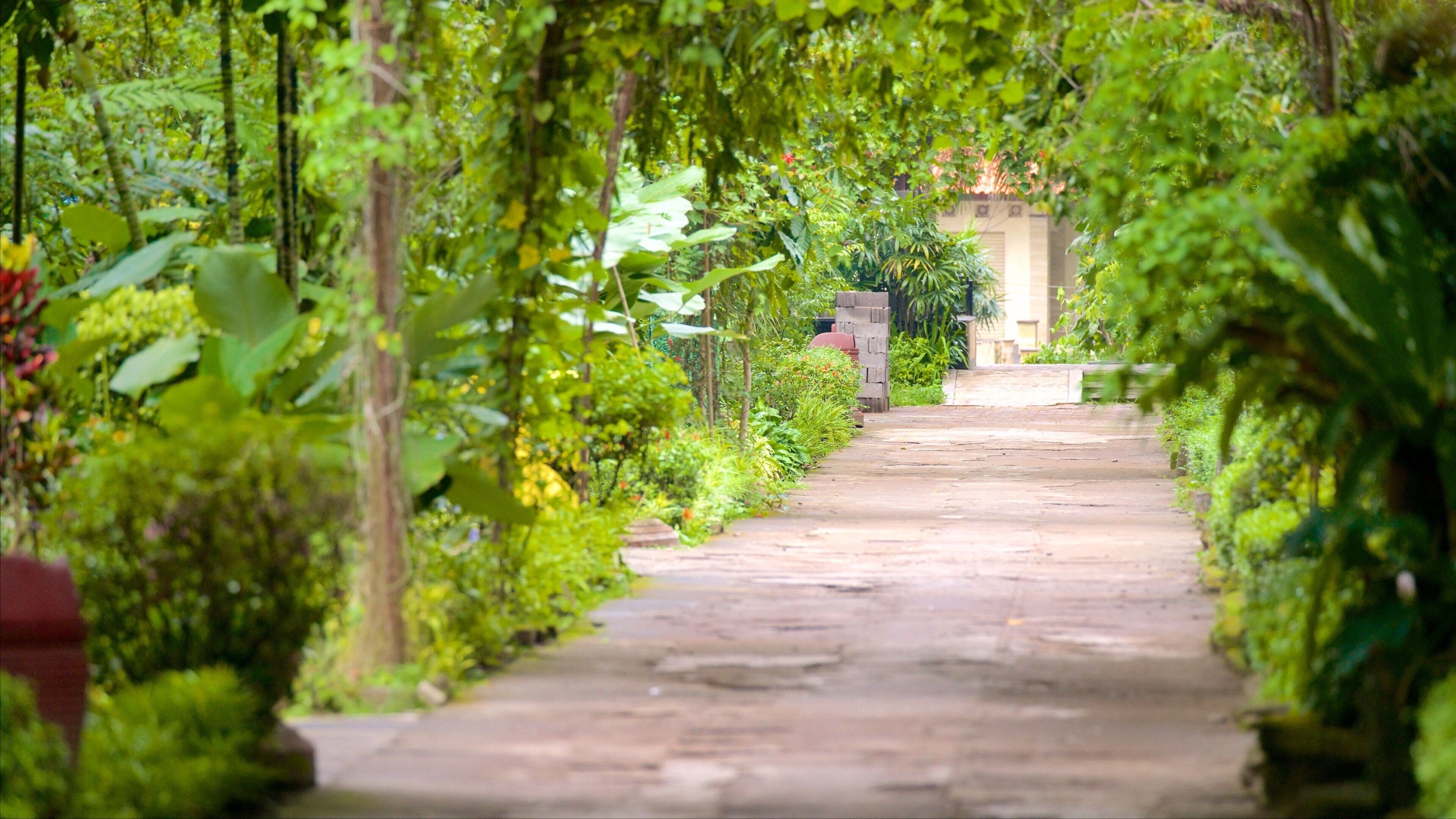 Special Region of Yogyakarta showing a park