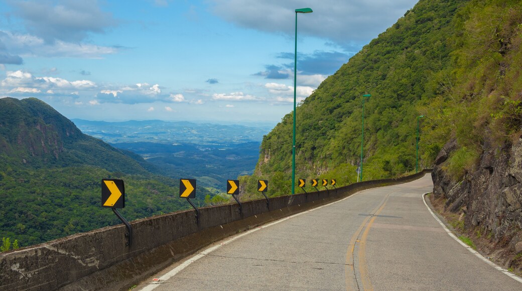 Car, Landscape, Serra, Brazil, Serra do Rio do Rastro, Natural, Mountain, Hill, Nature, Trees, Field, Green, Wind energy, Weather vane, Cold, Winter, High, Road.