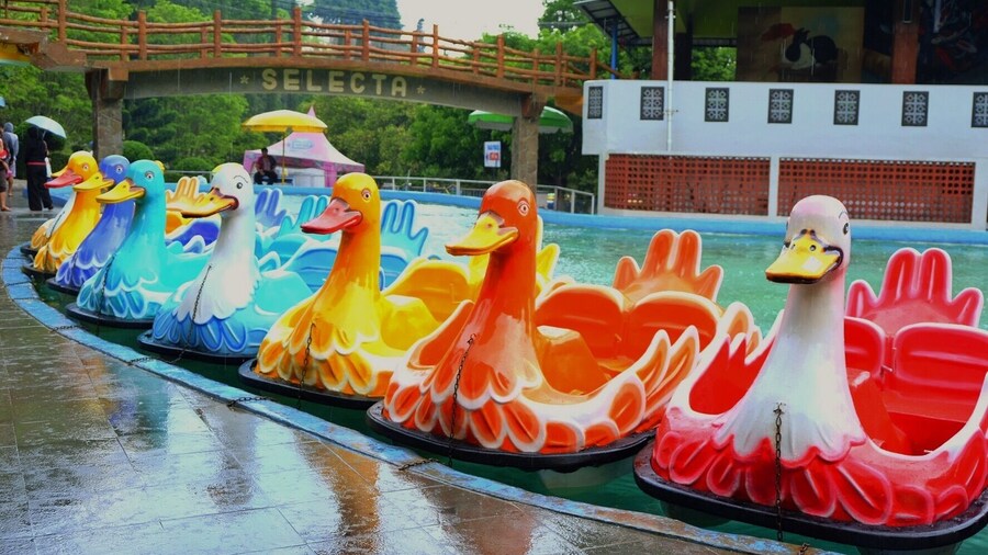 Located in Batu, Malang, Indonesia, the Selecta Recreational Park was established in the 1930s by the Dutch and features a vast flower garden and waterpark