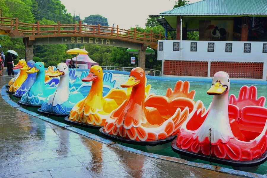 Located in Batu, Malang, Indonesia, the Selecta Recreational Park was established in the 1930s by the Dutch and features a vast flower garden and waterpark