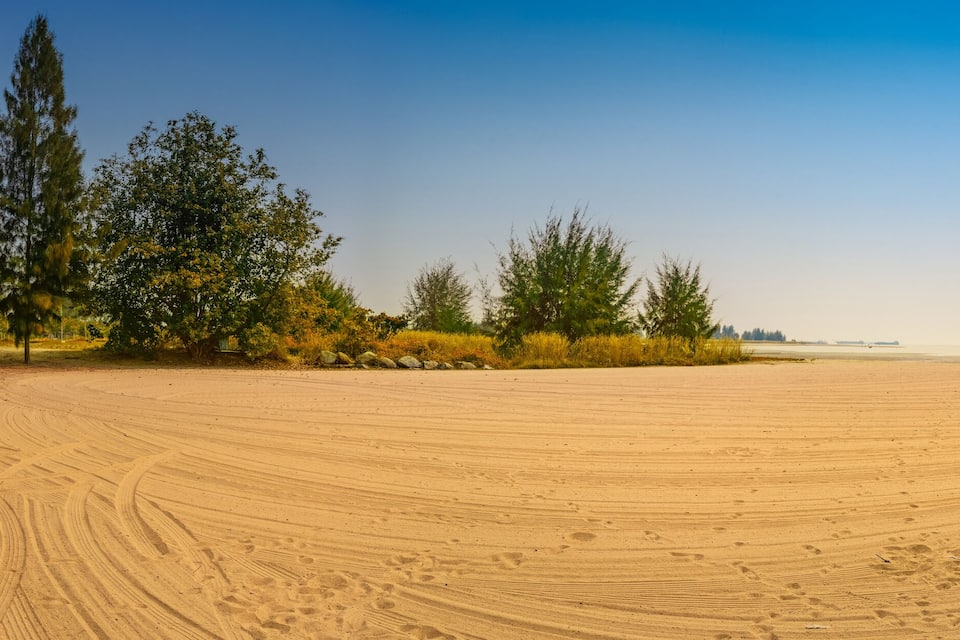 A wide, open sandy area with tire tracks, surrounded by trees and distant buildings.