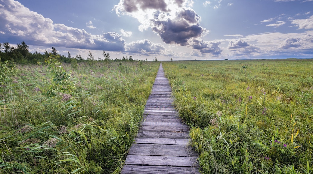 BiebrzaĆski Park Narodowy