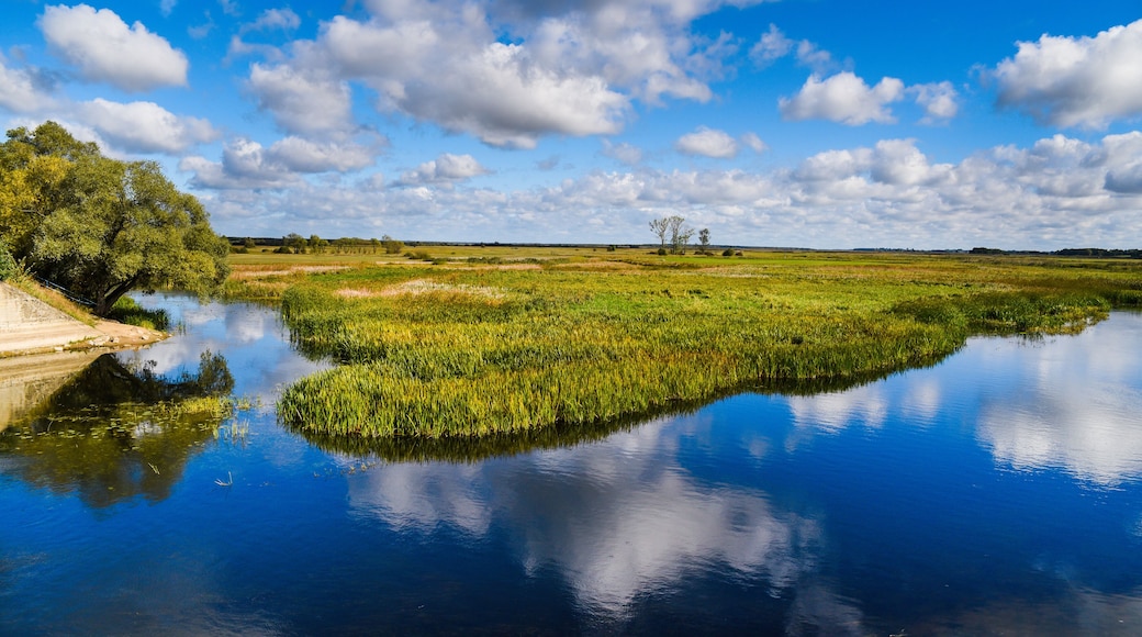 BiebrzaĆski Park Narodowy