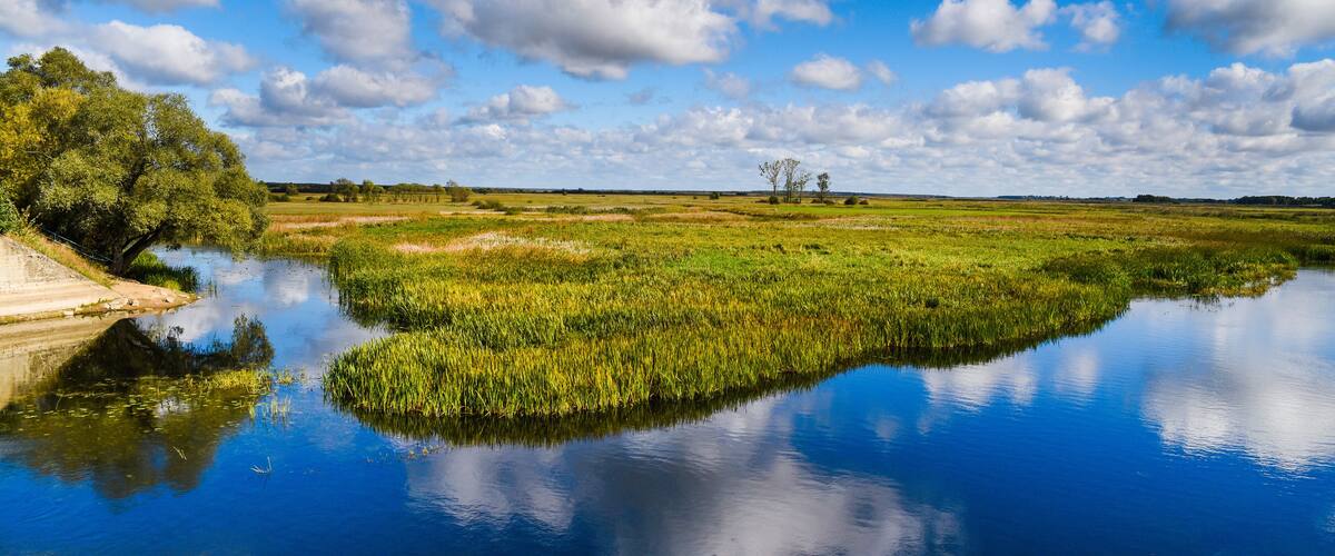 River Biebrza, Podlasie-Poland