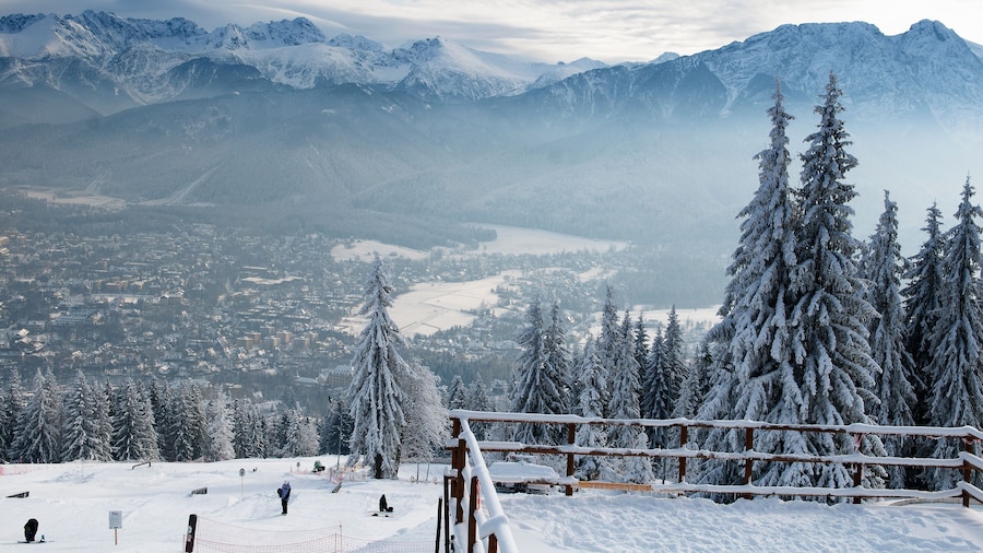 Montagne GubaĆĂłwka