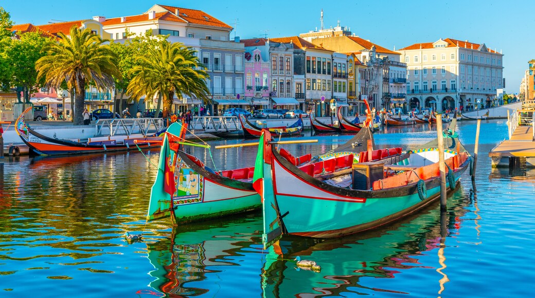 Moliceiro boats mooring alongside the central channel at Aveiro, Portugal