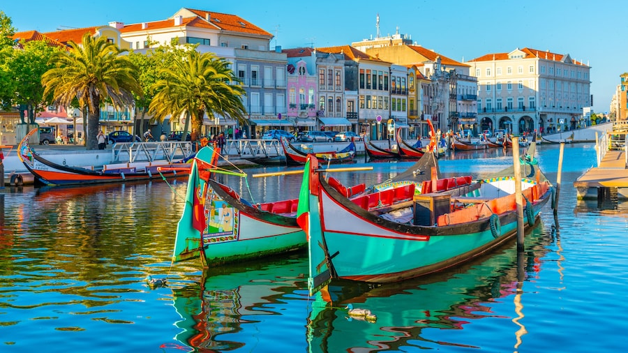 Moliceiro boats mooring alongside the central channel at Aveiro, Portugal