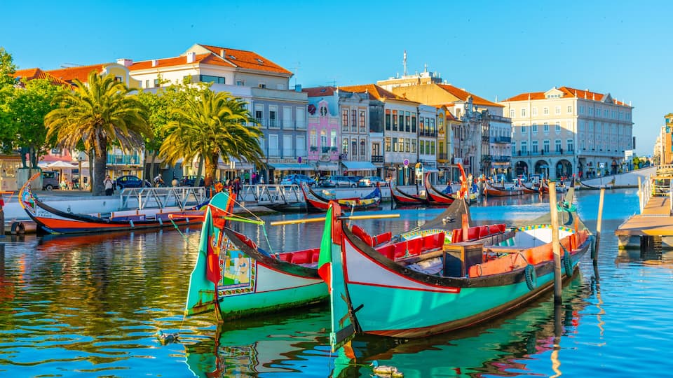 A harbor with colorful boats docked, palm trees, and historic buildings with red roofs.