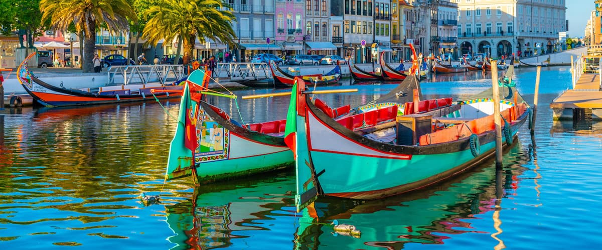 A harbor with colorful boats docked, palm trees, and historic buildings with red roofs.