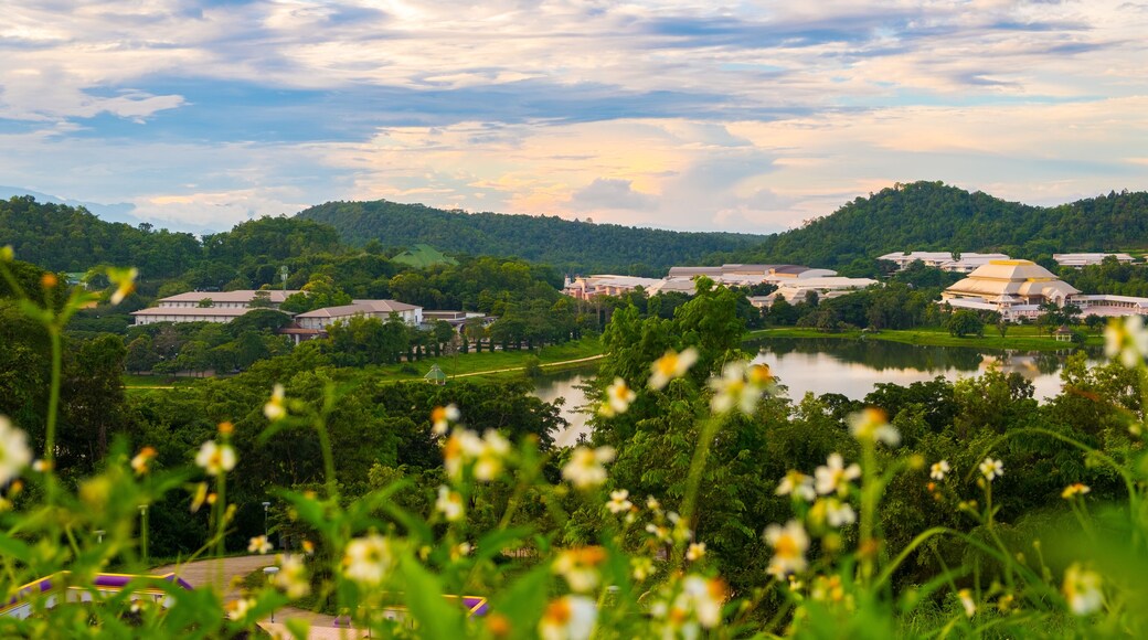 Landscape Sunset in University of Phayao Thailand