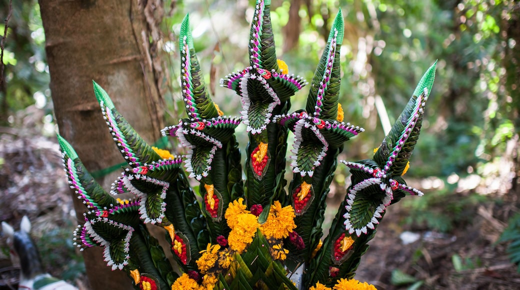 Templo budista Wat Kham Chanot