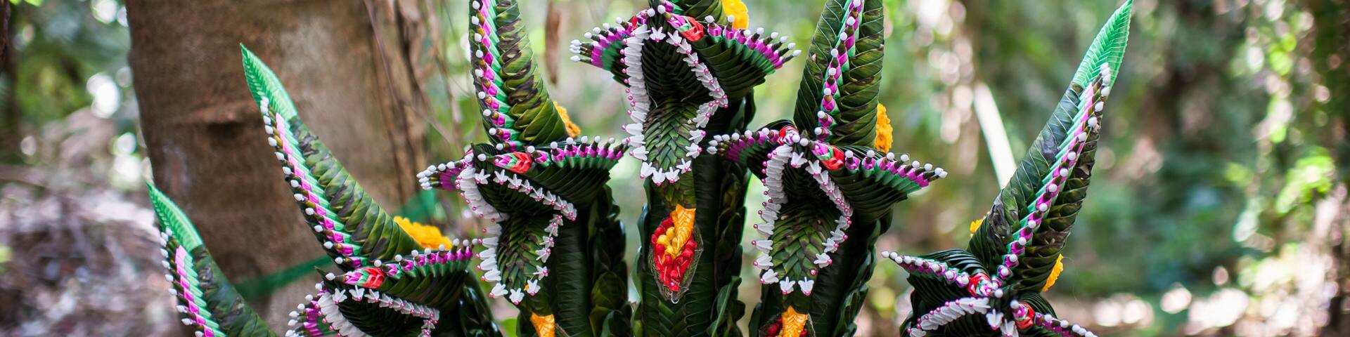 Una planta con hojas verdes y flores amarillas en un bosque.