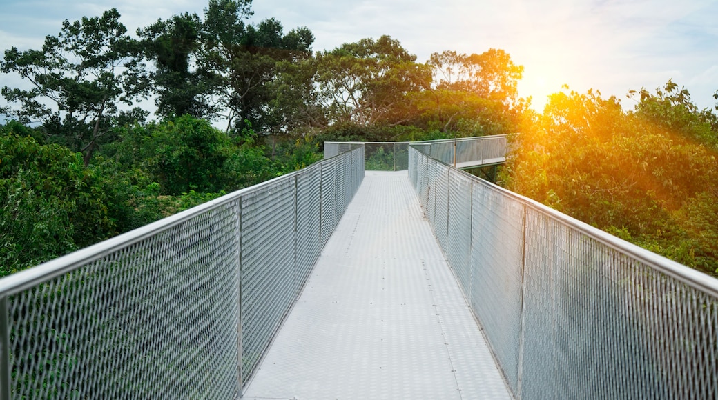 Universidad Walailak