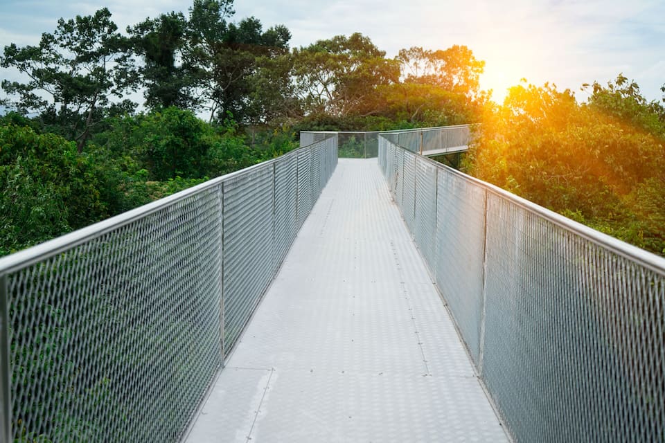 A pedestrian bridge with metal railings, surrounded by dense greenery and trees.