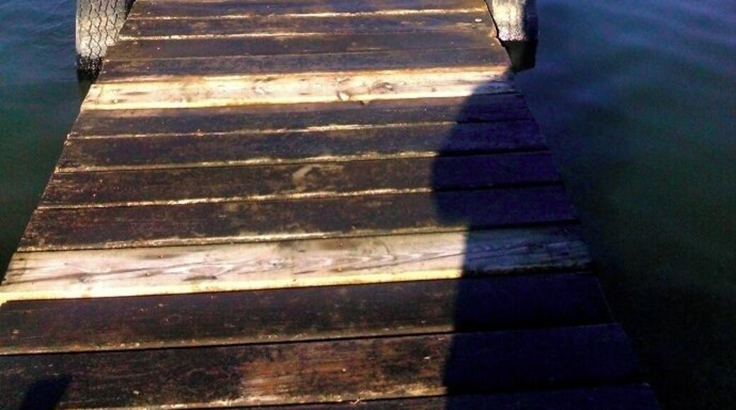 I got stranded shore bound while at work. Luckily is was beautiful outside!