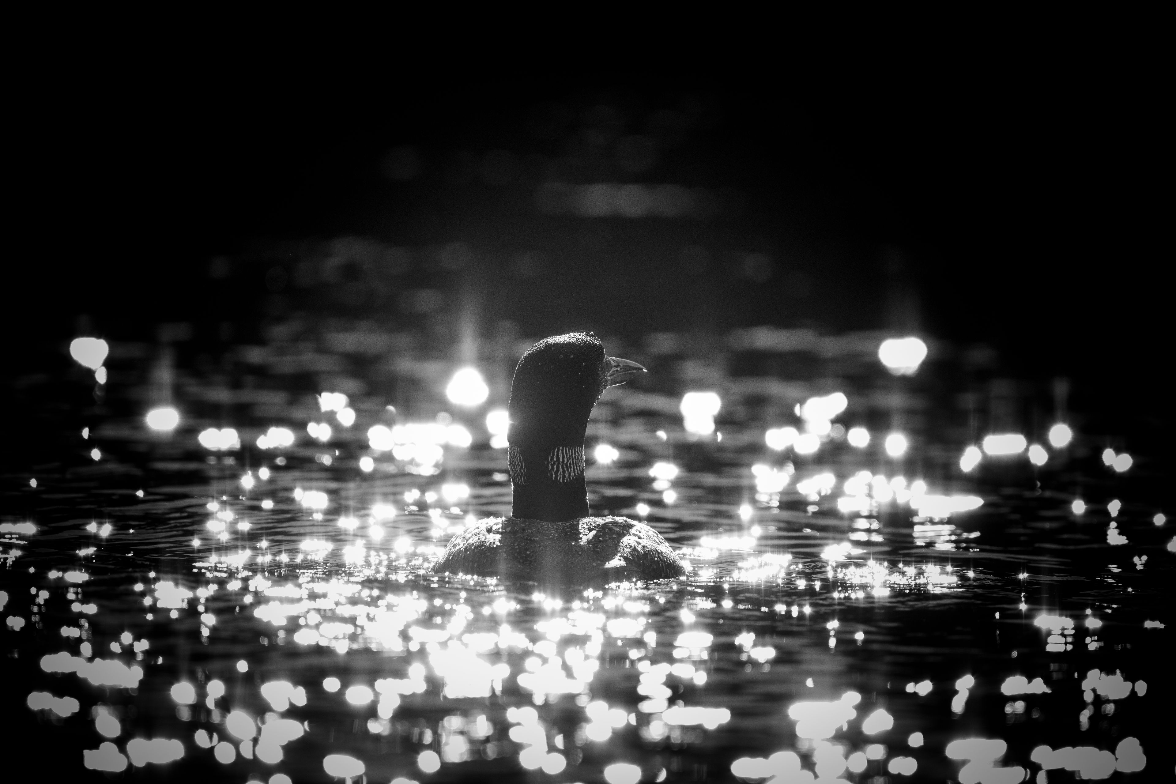 A person standing in water with reflections of lights.