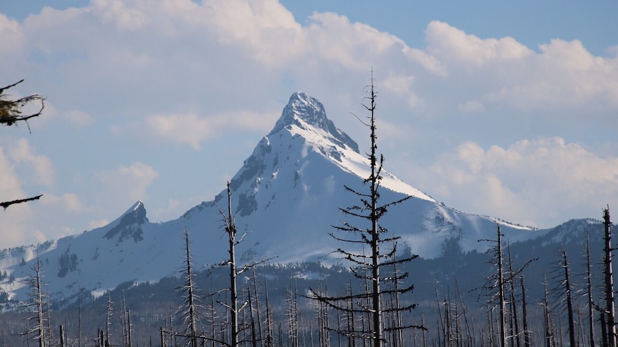A wonderful view of Mount Washington from this extraordinary lake.