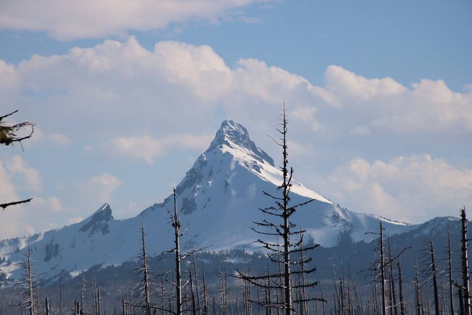 A snow-covered mountain peak with a clear sky and sparse trees in the foreground.
