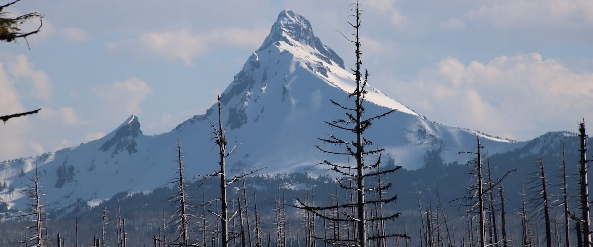 A snow-covered mountain peak with a clear sky and sparse trees in the foreground.