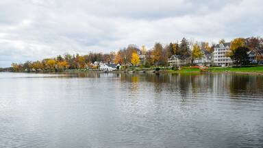 A calm lake with autumn-colored trees and residential buildings along the shore.