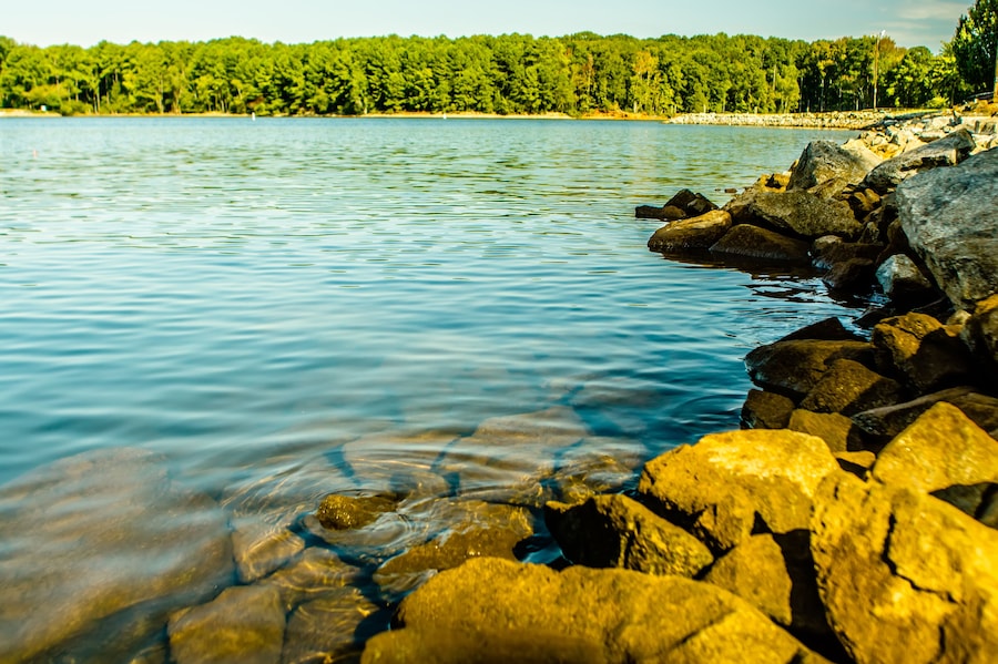lake murray south carolina coast and pier, Shutterstock ID 771966634, purchase_order: SP-1269 HA 2018 Batch 1, Order: , client: , other: