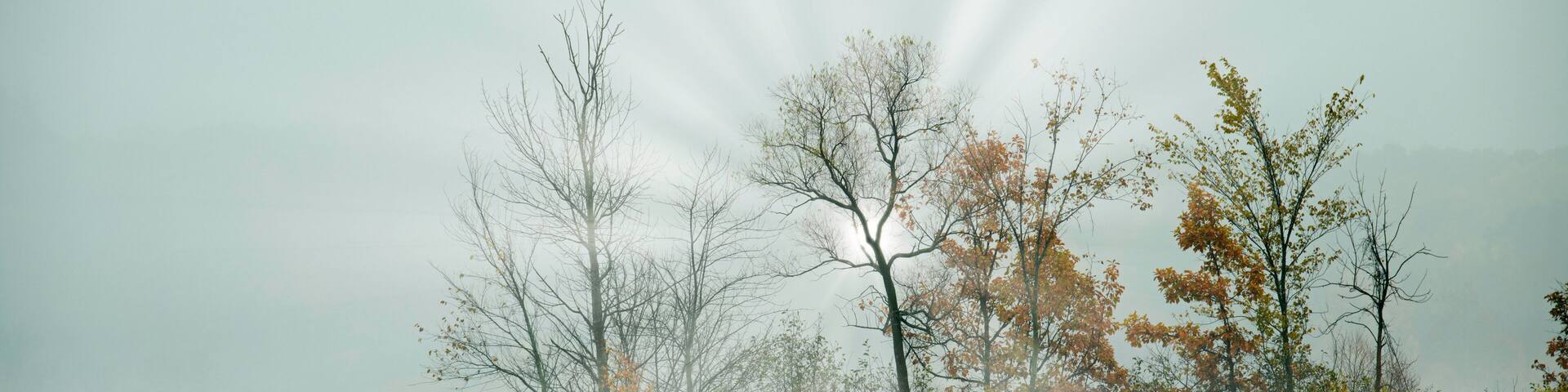 Autumn shoreline in fog with sunbeams, Gun Lake, Yankee Springs State Park, Michigan, USA