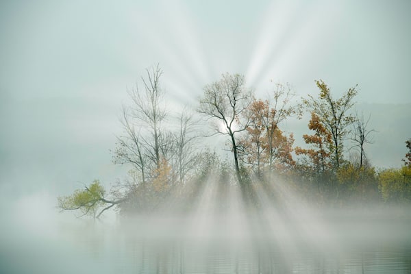 A misty lake with bare trees and sunlight rays.