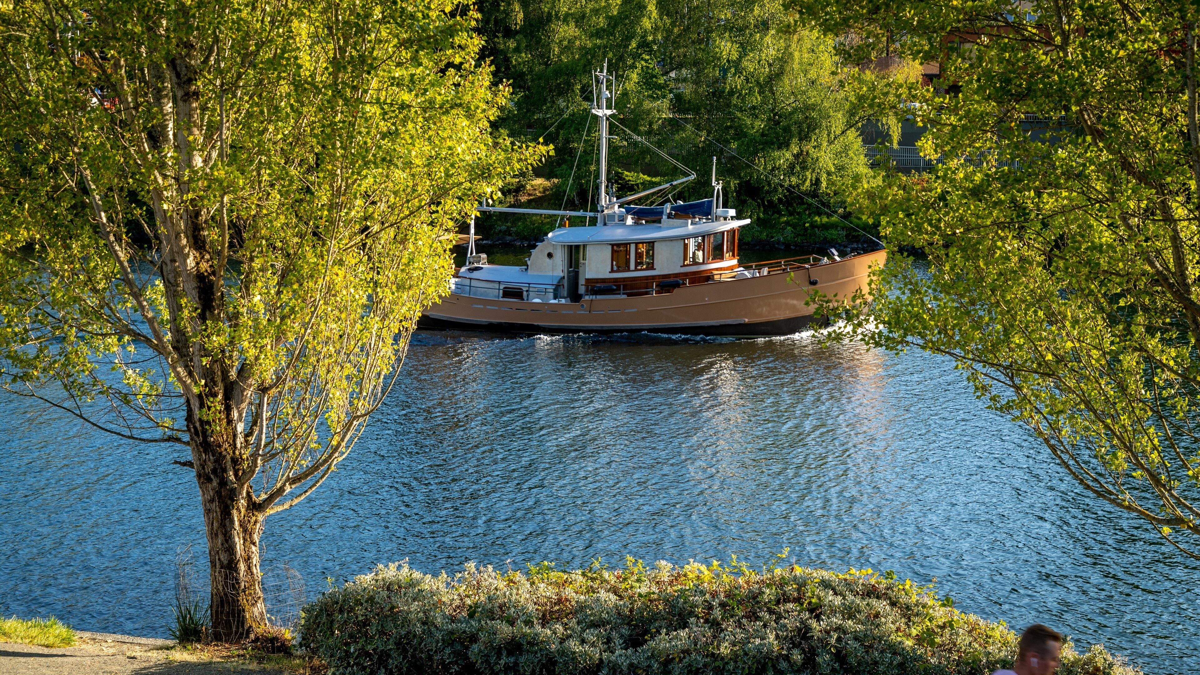 Lake Union which includes boating and a river or creek