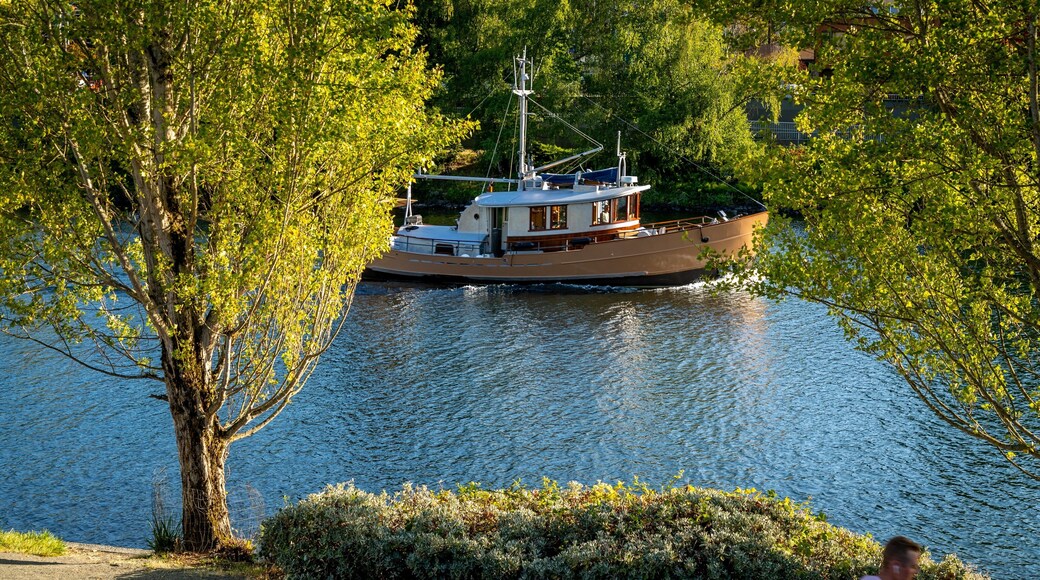 Lake Union which includes boating and a river or creek