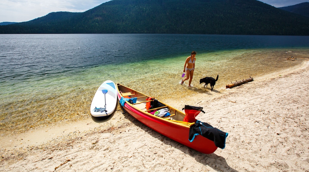 A lake with a red canoe and a surfboard on the shore, a dog, and a hiker in the background.