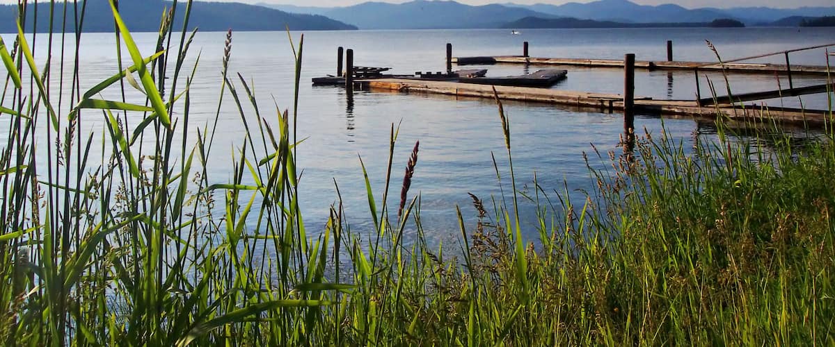 A calm lake with a dock and boats, surrounded by mountains and tall grasses.