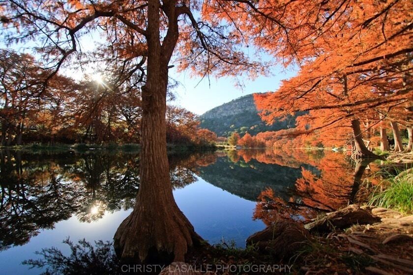 A large tree reflecting in a calm lake surrounded by autumn-colored trees.