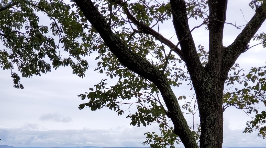 Battles of Chattanooga