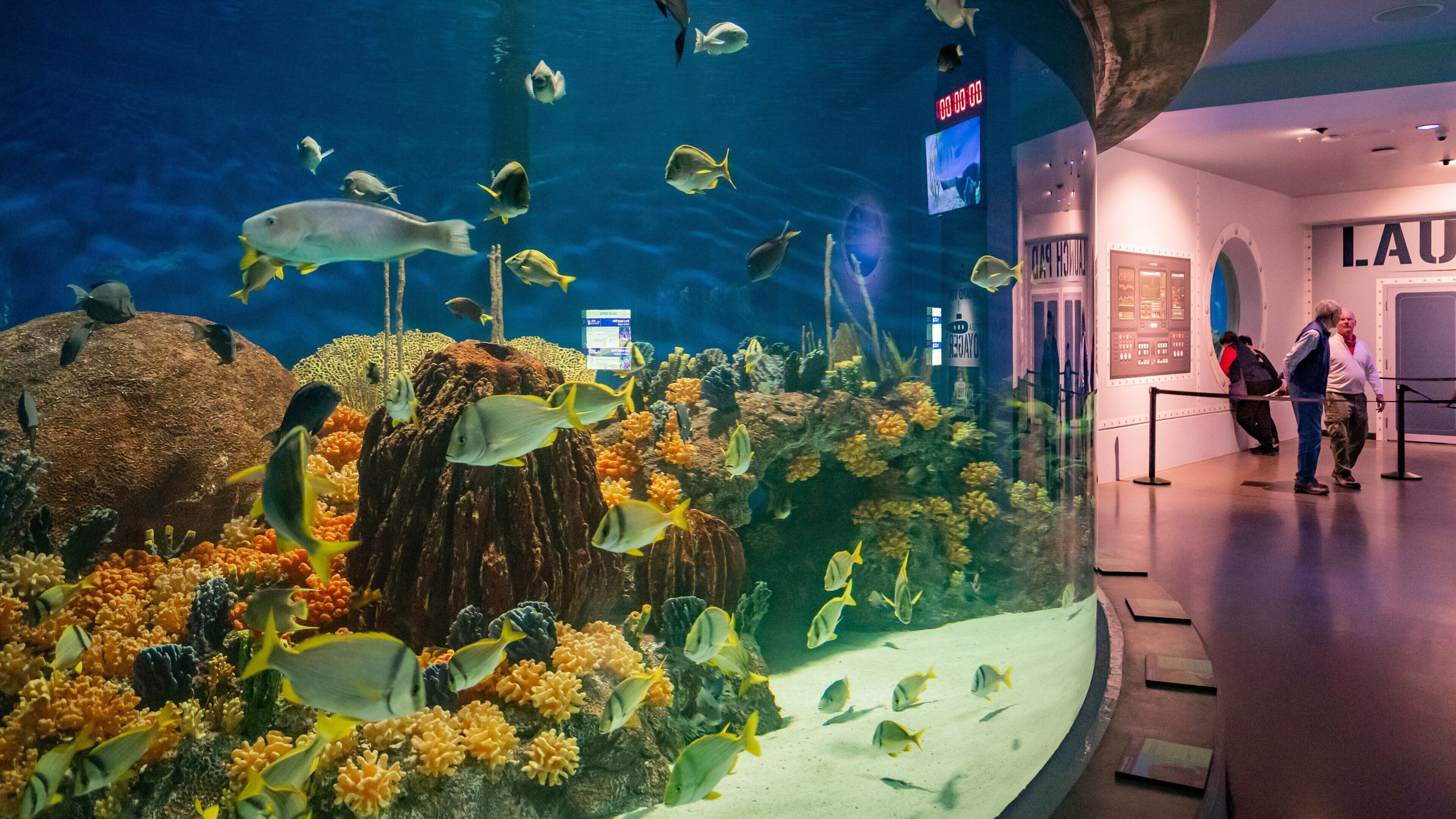 OdySea Aquarium