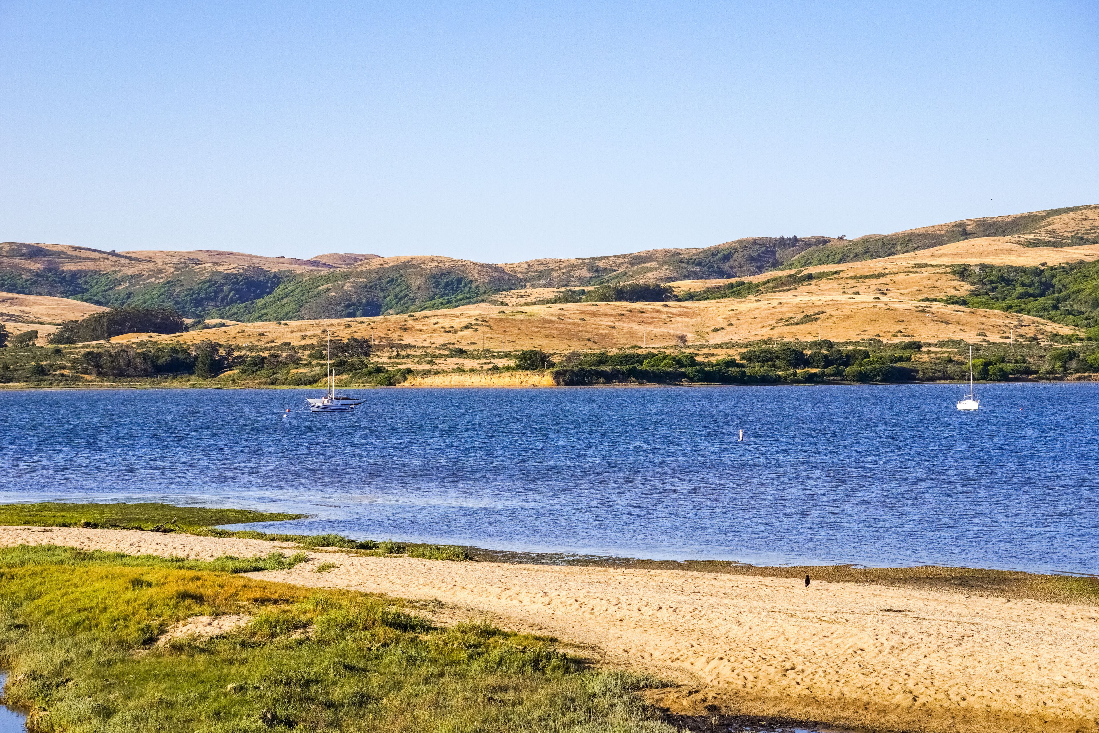 Tomales Bay