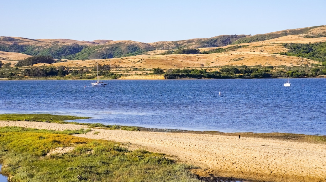 Tomales Bay seen from the Inverness shoreline, California