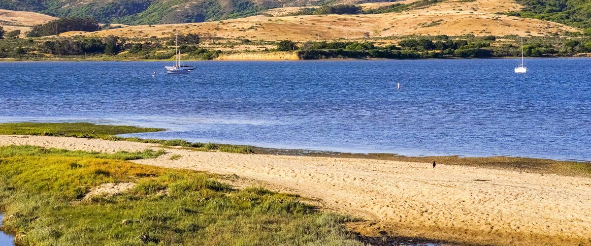 Tomales Bay seen from the Inverness shoreline, California