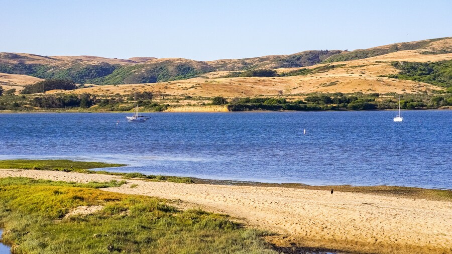 Tomales Bay
